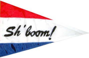 SYC Pennant - Transparent bg